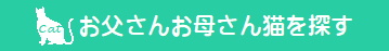 ネコちゃんを探す