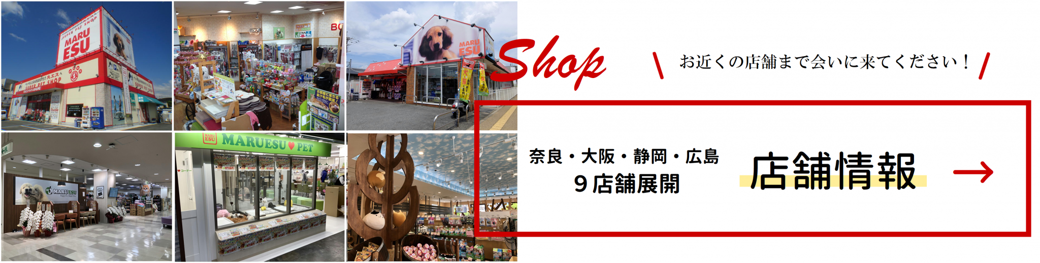 “店舗情報”