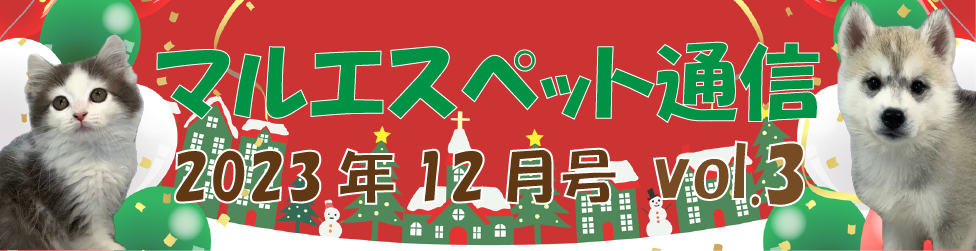 “マルエス通信”