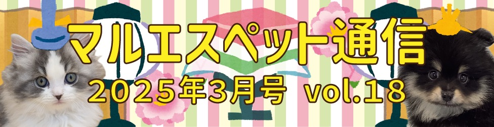 “マルエス通信3”