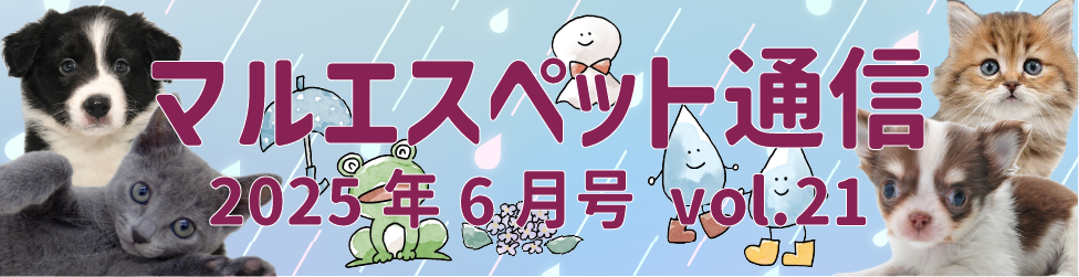 “マルエス通信3”