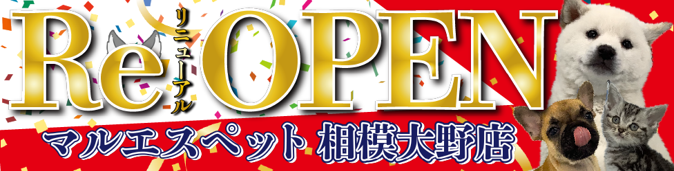 相模大野店