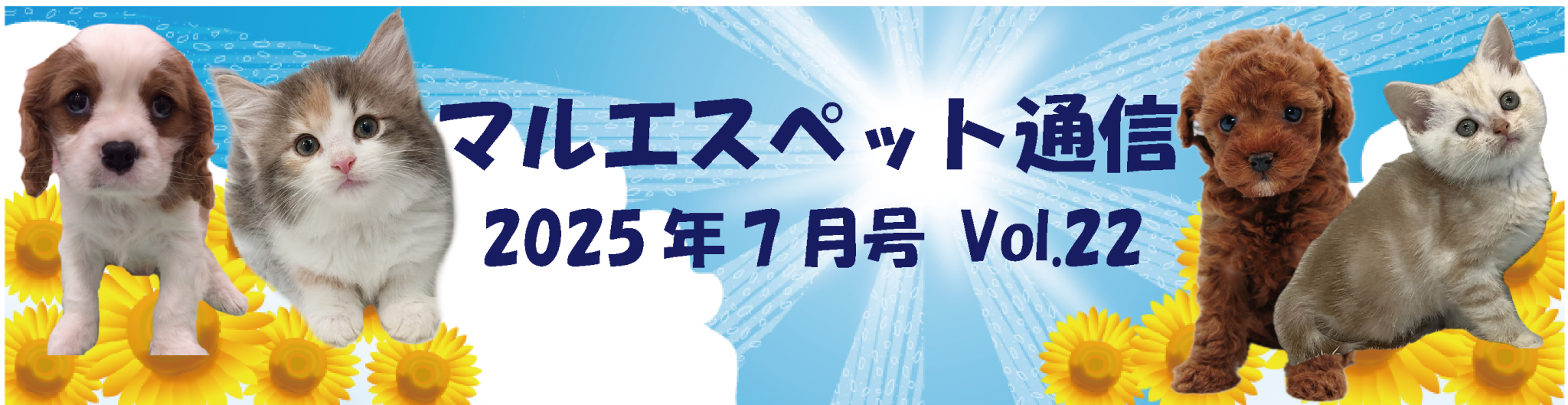 “マルエス通信3”