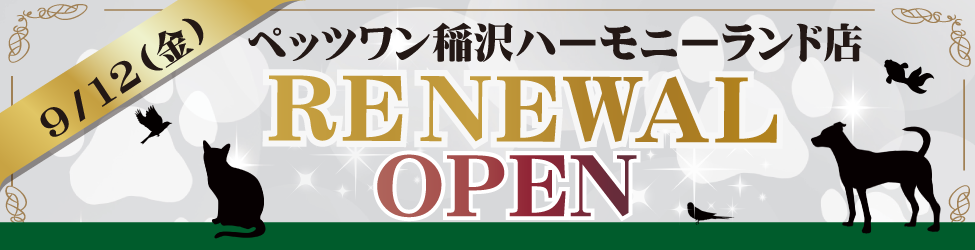 稲沢オープン