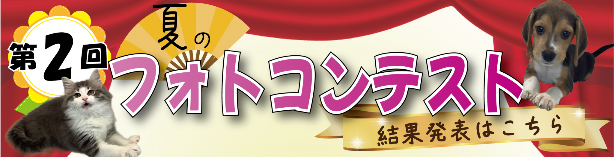 フォトコンテスト