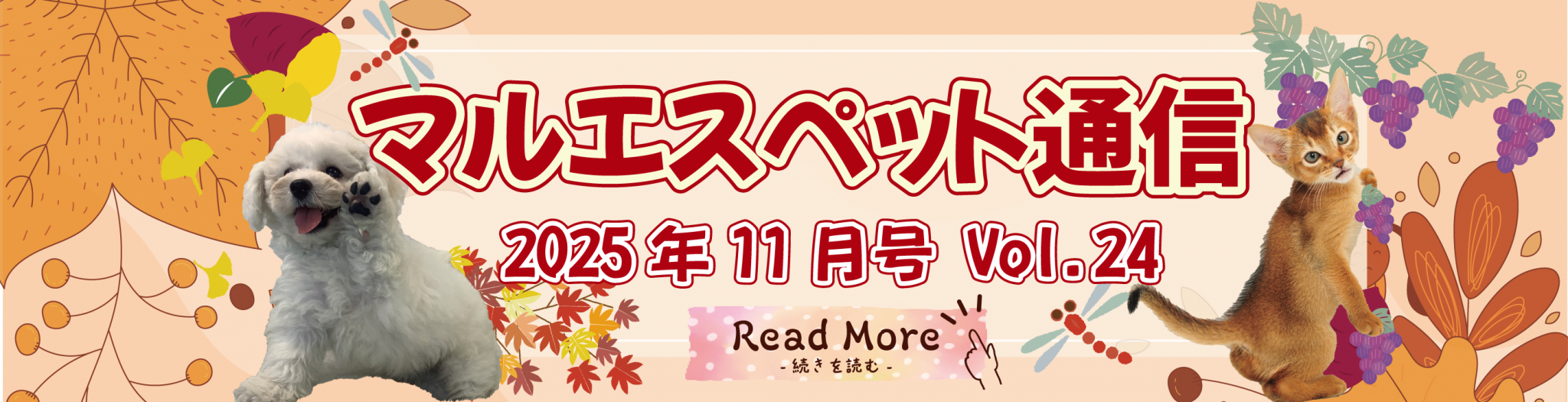 “マルエス通信”