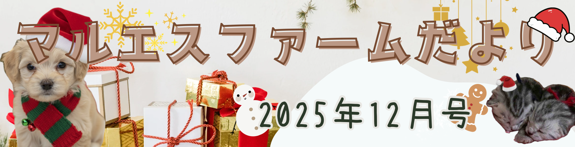 “マルエス通信”