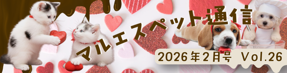 “マルエス通信”