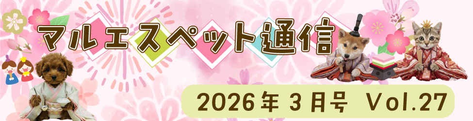 “マルエス通信”