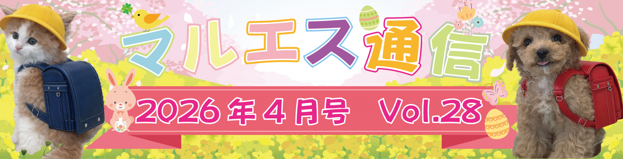 “マルエス通信”