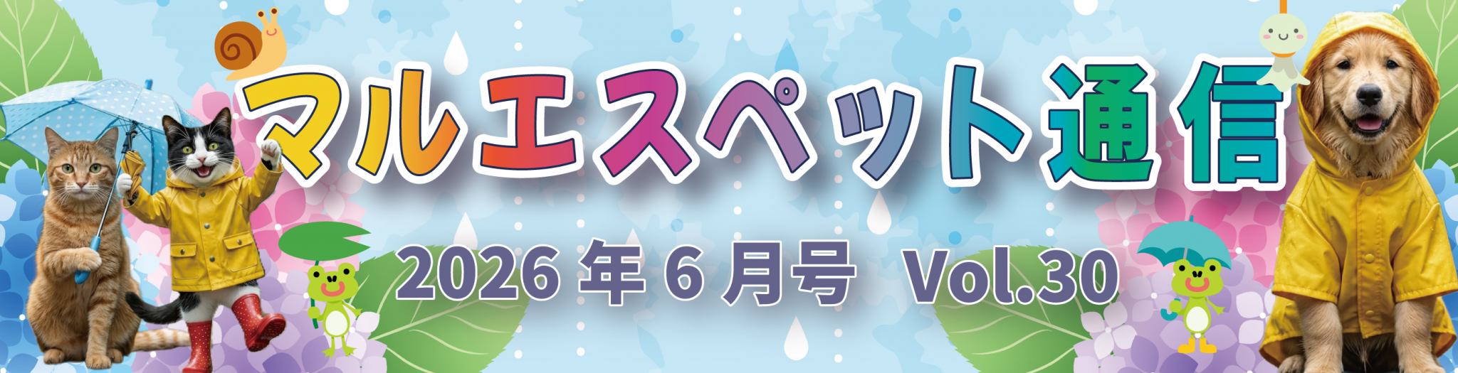“マルエス通信”