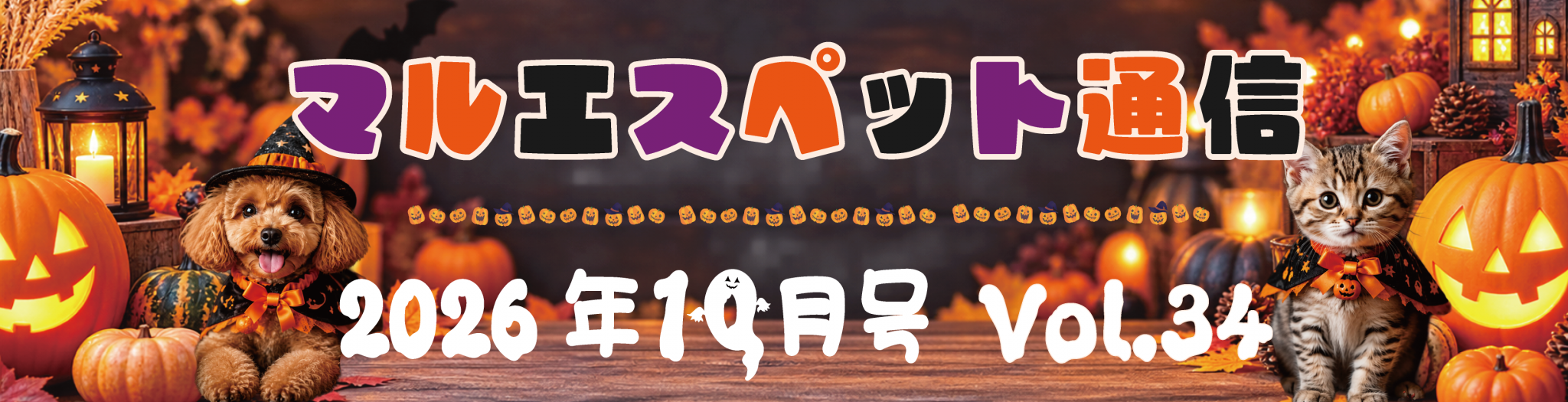 “マルエス通信”