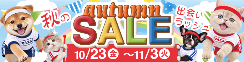 autumn SALE