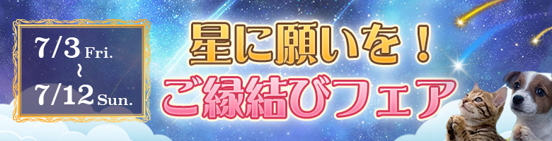 ご縁結びフェア