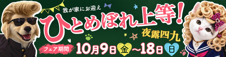 ひとめぼれ上等