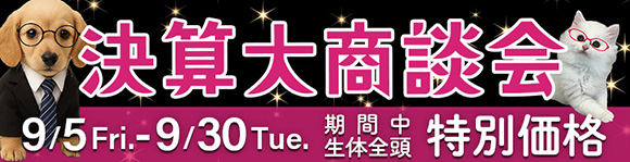 決算大商談会"