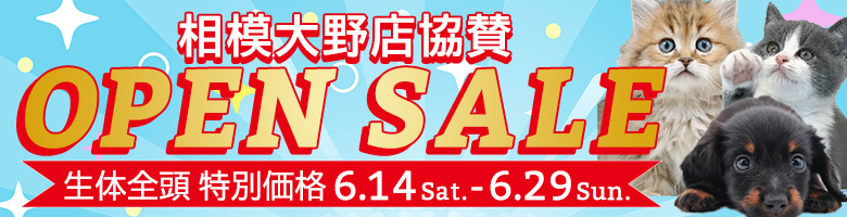 相模大野店協賛OPENセール"