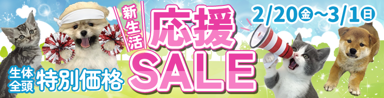 新生活応援セール