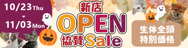 新店オープン協賛セール