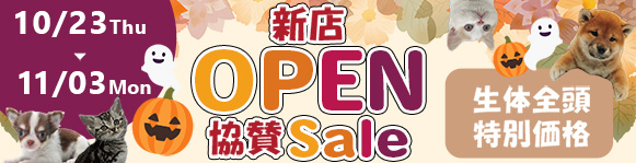 新店オープン協賛セール