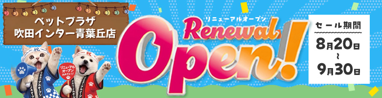 リニューアルオープンセール