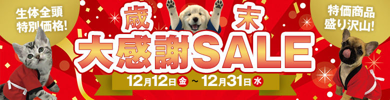 歳末大感謝セール