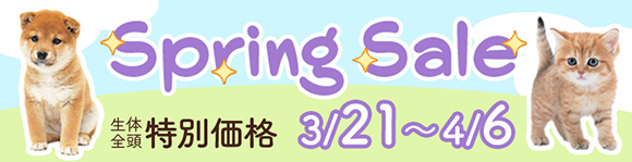 スプリングセール