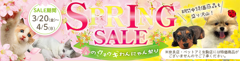 スプリングセール