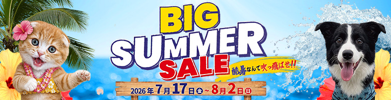 ビッグサマーセール