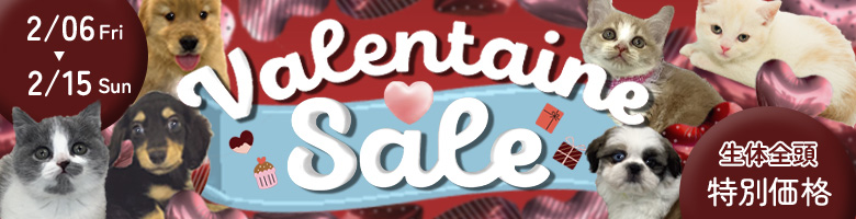 イースターフェア