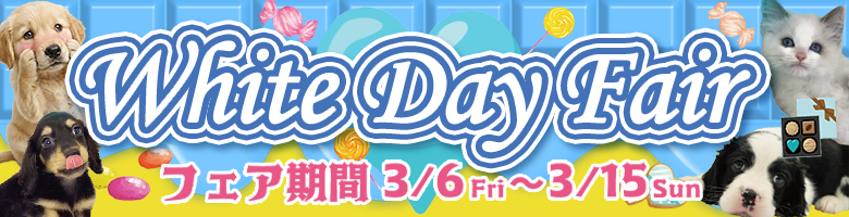 ホワイトデーフェア
