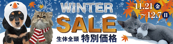 ウィンターセール"